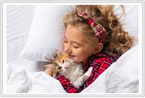 dein ratgeber rund um kleintiere und haustiere